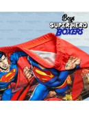  3pcs BOY SUPER HERO BOXERS / BOXER SUPER HERO BUDAK / SELUAR DALAM BUDAK LELAKI LABUBU #1132 