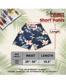 Freesize Seluar Pendek perempuan / Summer Ladies Short Pants #501